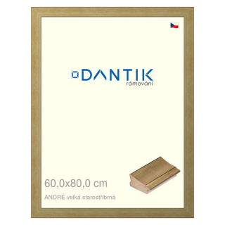 DANTIK rámeček 60x80 | ANDRÉ velká starostříbrná (Plexi Čiré)