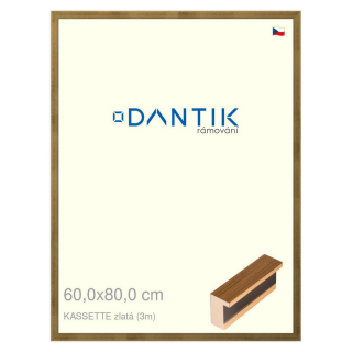 DANTIK rámeček 60x80 | KASSETTE zlatá (Plexi Čiré)