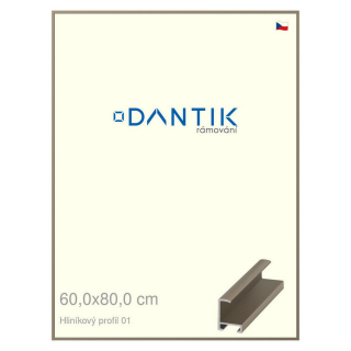 DANTIK rámeček 60x80 | ALU profil 6001 champagne (Plexi Čiré)