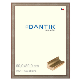 DANTIK rámeček 60x80 | TOOTH malá stříbrná (Plexi Čiré)