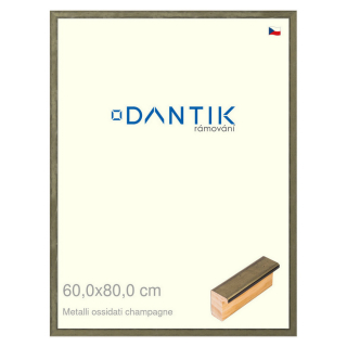 DANTIK rámeček 60x80 | Metalli oidati champagne (Plexi Čiré)