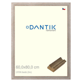 DANTIK rámeček 60x80 | LYON šedá (Plexi Čiré)