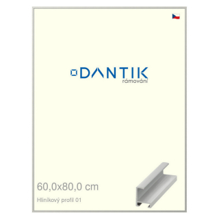 DANTIK rámeček 60x80 | ALU profil 6001 Stříbrná matná (Plexi Čiré)