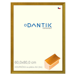 DANTIK rámeček 60x80 | HOUPAČKA na plátno AU (Plexi Čiré)