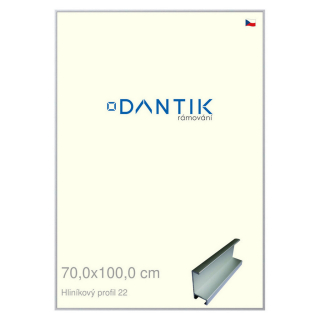 DANTIK rámeček 70x100 | ALU profil 7022 Stříbrná matná (Plexi Čiré)