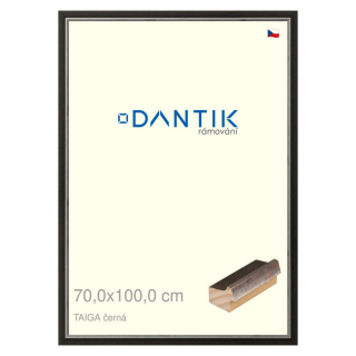 DANTIK rámeček 70x100 | TAIGA černá (Plexi Čiré)