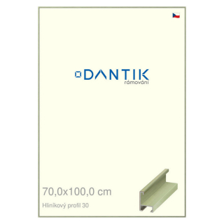 DANTIK rámeček 70x100 | ALU profil 6030 Dýha barevná zelená pastel (Plexi Čiré)