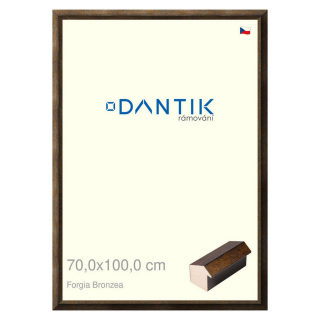 DANTIK rámeček 70x100 | Forgia Bronzea (Plexi Čiré)