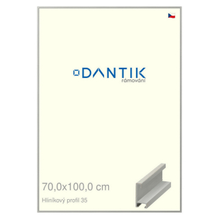DANTIK rámeček 70x100 | ALU profil 6035 Dýha barevná šedá (Plexi Čiré)
