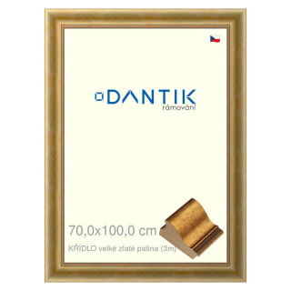DANTIK rámeček 70x100 | KŘÍDLO velké zlaté patina (Plexi Čiré)