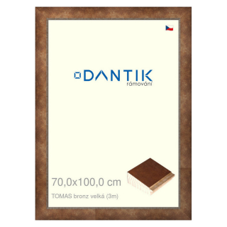 DANTIK rámeček 70x100 | TOMAS bronz velká (Plexi Čiré)