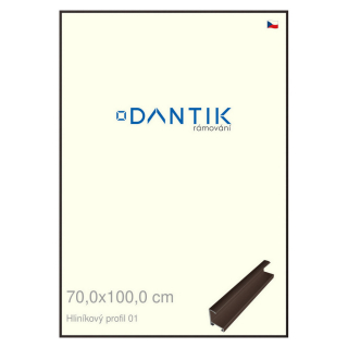 DANTIK rámeček 70x100 | ALU profil 7001 Hnědá matná (Plexi Čiré)