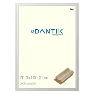 DANTIK rámeček 70x100 | LYON Bílá (Plexi Čiré)