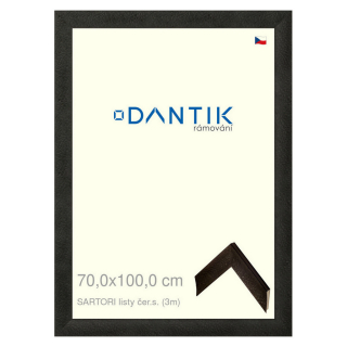 DANTIK rámeček 70x100 | SARTORI listy čer.s. (Plexi Čiré)