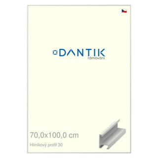 DANTIK rámeček 70x100 | ALU profil 6030 Bílá matná (Plexi Čiré)