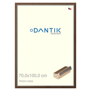 DANTIK rámeček 70x100 | TAIGA hnědá (Plexi Čiré)
