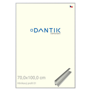 DANTIK rámeček 70x100 | ALU profil 7001 Stříbrná matná (Plexi Čiré)