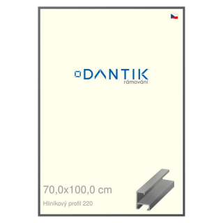 DANTIK rámeček 70x100 | ALU profil 6220 Ocelová (Plexi Čiré)