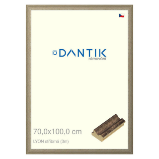 DANTIK rámeček 70x100 | LYON stříbrná (Plexi Čiré)