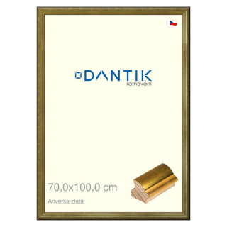 DANTIK rámeček 70x100 | ANIVERSA zlatá (Plexi Čiré)