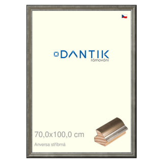 DANTIK rámeček 70x100 | ANIVERSA stříbrná (Plexi Čiré)