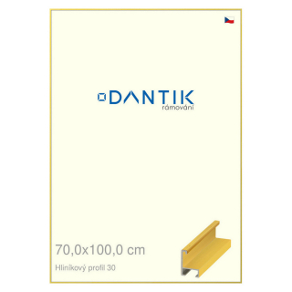 DANTIK rámeček 70x100 | ALU profil 6030 Dýha barevná žlutá citrus (Plexi Čiré)
