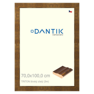 DANTIK rámeček 70x100 | TRITON široký zlatý (Plexi Čiré)
