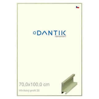 DANTIK rámeček 70x100 | ALU profil 6035 Dýha barevná zelená pastel (Plexi Čiré)