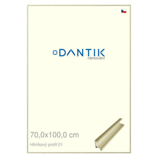 DANTIK rámeček 70x100 | ALU profil 7001 zlatá lesklá alternativa (Plexi Čiré)