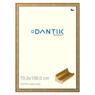 DANTIK rámeček 70x100 | TOOTH malá zlatá (Plexi Čiré)