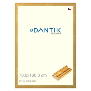 DANTIK rámeček 70x100 | LYON zlatá (Plexi Čiré)
