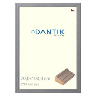 DANTIK rámeček 70x100 | STEP šedá (Plexi Čiré)