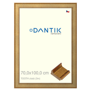 DANTIK rámeček 70x100 | TOOTH zlatá (Plexi Čiré)