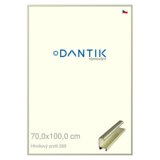 DANTIK rámeček 70x100 | ALU profil 7269 Šedá Pyrit broušená (Plexi Čiré)