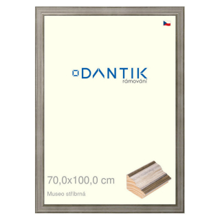 DANTIK rámeček 70x100 | Museo stříbrná (Plexi Čiré)