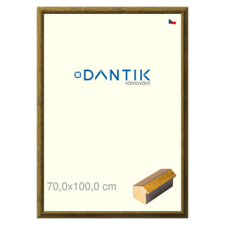 DANTIK rámeček 70x100 | Forgia Gold (Plexi Čiré)