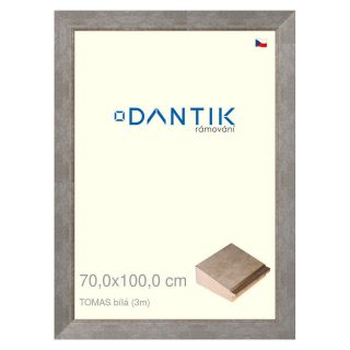 DANTIK rámeček 70x100 | TOMAS bílá velká (Plexi Čiré)