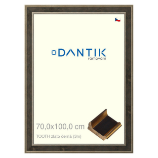 DANTIK rámeček 70x100 | TOOTH zlato černá (Plexi Čiré)