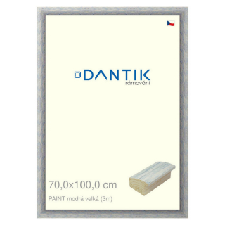 DANTIK rámeček 70x100 | PAINT modrá velká (Plexi Čiré)