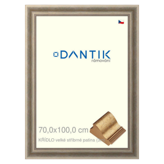 DANTIK rámeček 70x100 | KŘÍDLO velké stříbrné patina (Plexi Čiré)