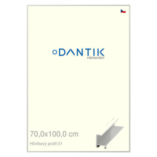 DANTIK rámeček 70x100 | ALU profil 6001 Stříbrná lesklá (Plexi Čiré)