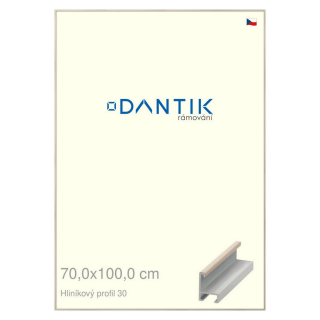 DANTIK rámeček 70x100 | ALU profil 6030 Dýha slovnová kost (Plexi Čiré)