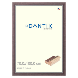 DANTIK rámeček 70x100 | AMALFI fialová (Plexi Čiré)