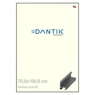 DANTIK rámeček 70x100 | ALU profil 6030 Dýha barevná šedá tmavá (Plexi Čiré)