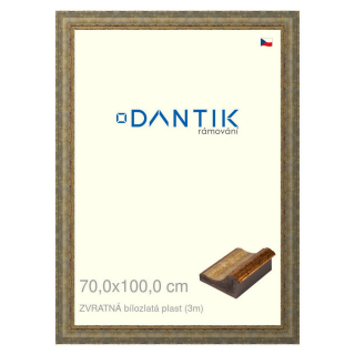 DANTIK rámeček 70x100 | ZVRATNÁ bílozlatá plast (Plexi Čiré)