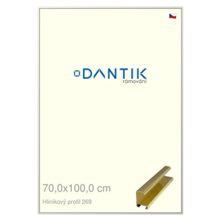 DANTIK rámeček 70x100 | ALU profil 7269 Zlatá lesklá (Plexi Čiré)