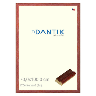 DANTIK rámeček 70x100 | LYON červená (Plexi Čiré)