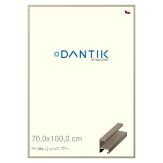 DANTIK rámeček 70x100 | ALU profil 6220 champagne (Plexi Čiré)