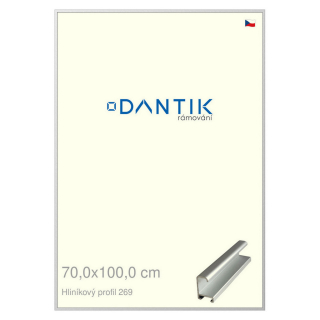 DANTIK rámeček 70x100 | ALU profil 7269 Stříbrná matná (Plexi Čiré)