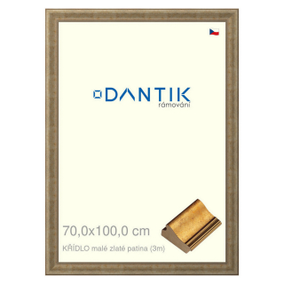 DANTIK rámeček 70x100 | KŘÍDLO malé zlaté patina (Plexi Čiré)
